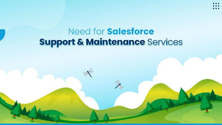 Need for Salesforce Support & Maintenance Services