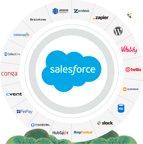 Salesforce Integration Services