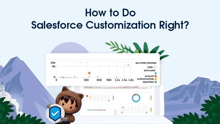 How to do Salesforce Customization right?